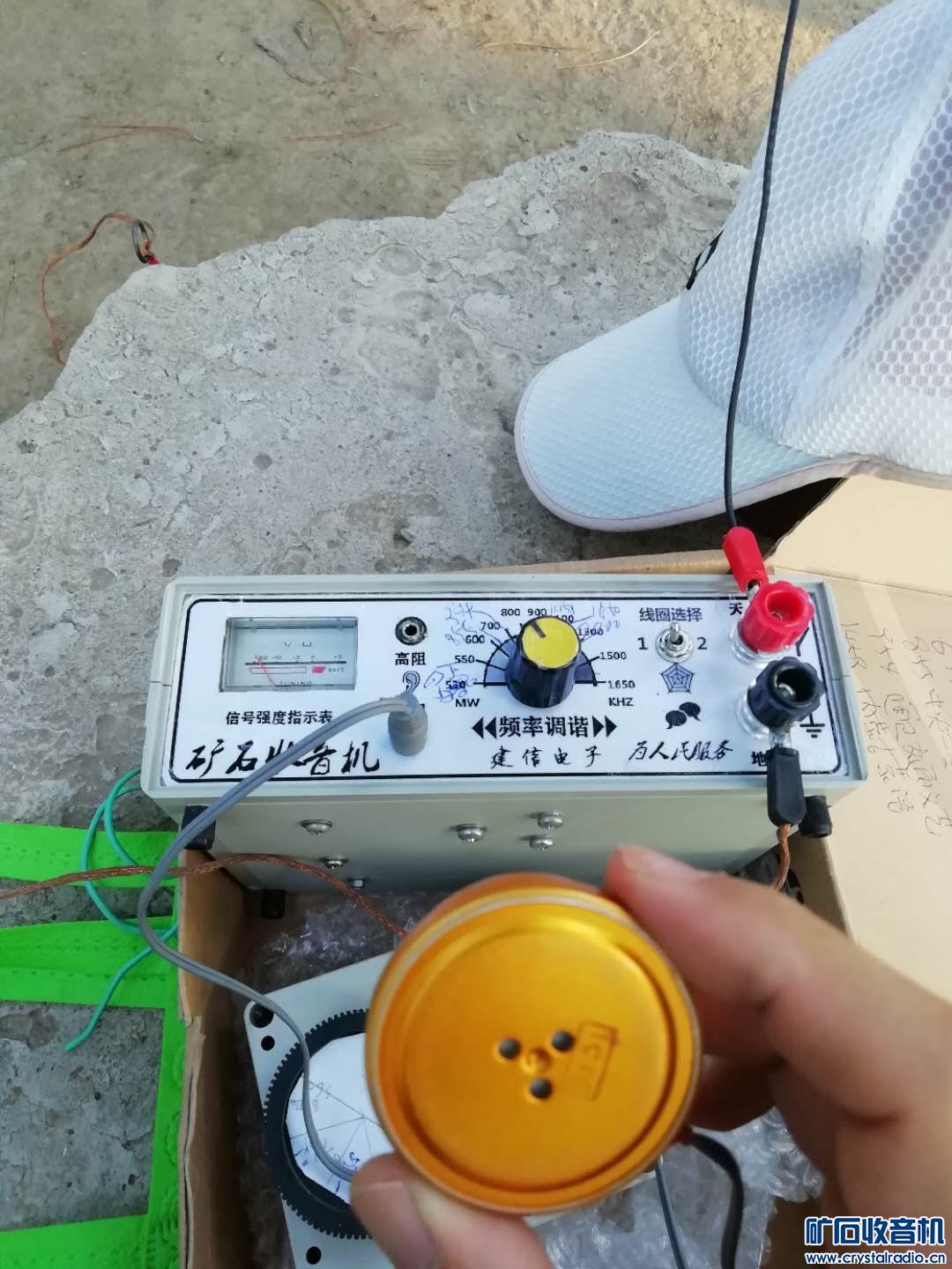mmexport1567332821986.jpg