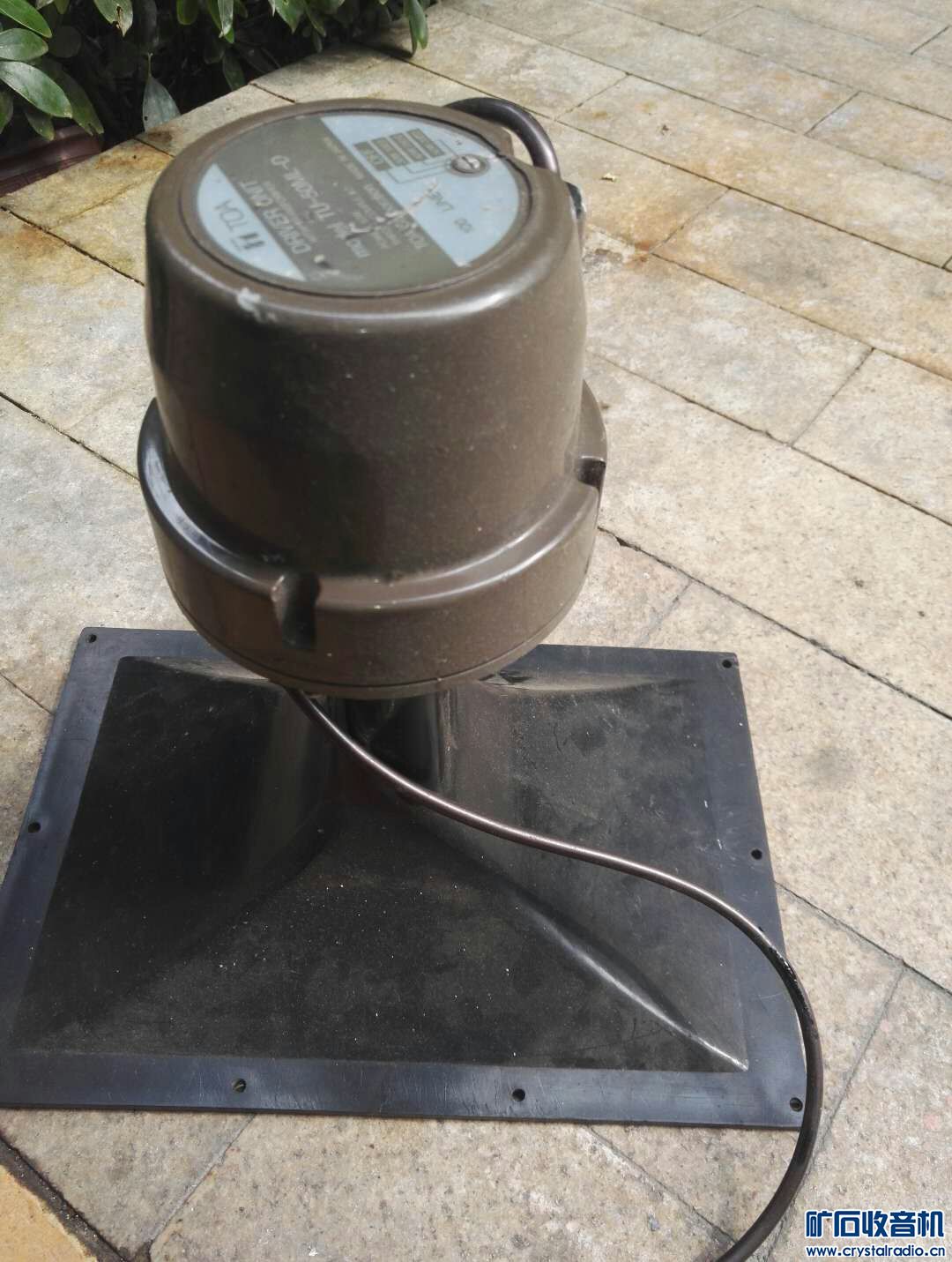 mmexport1571982451137.jpg