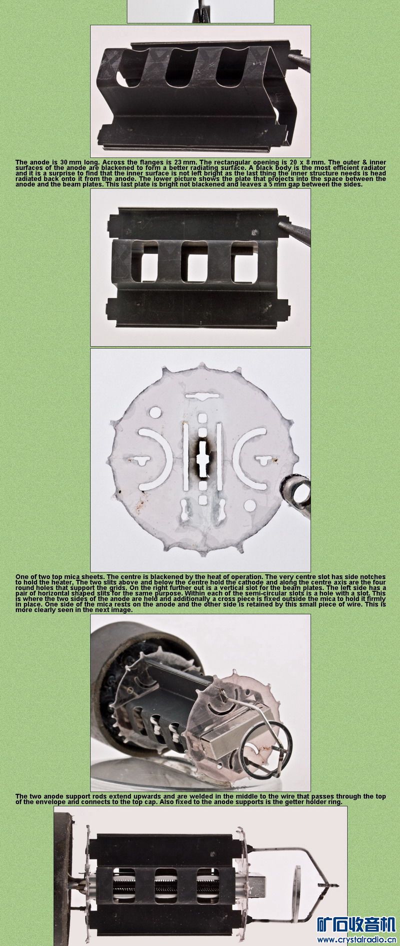 pl36-jg2.JPG