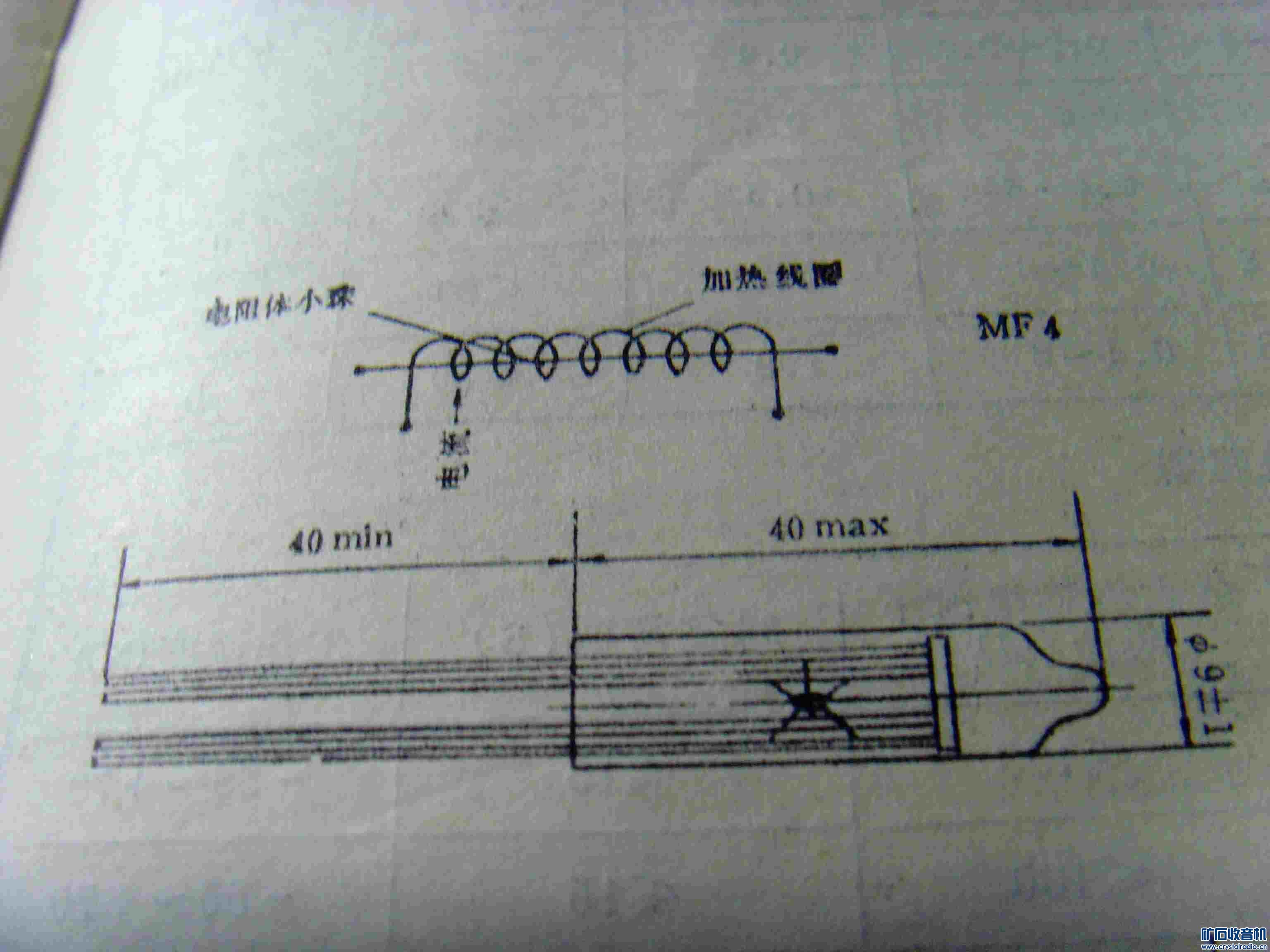 SNV39277.JPG