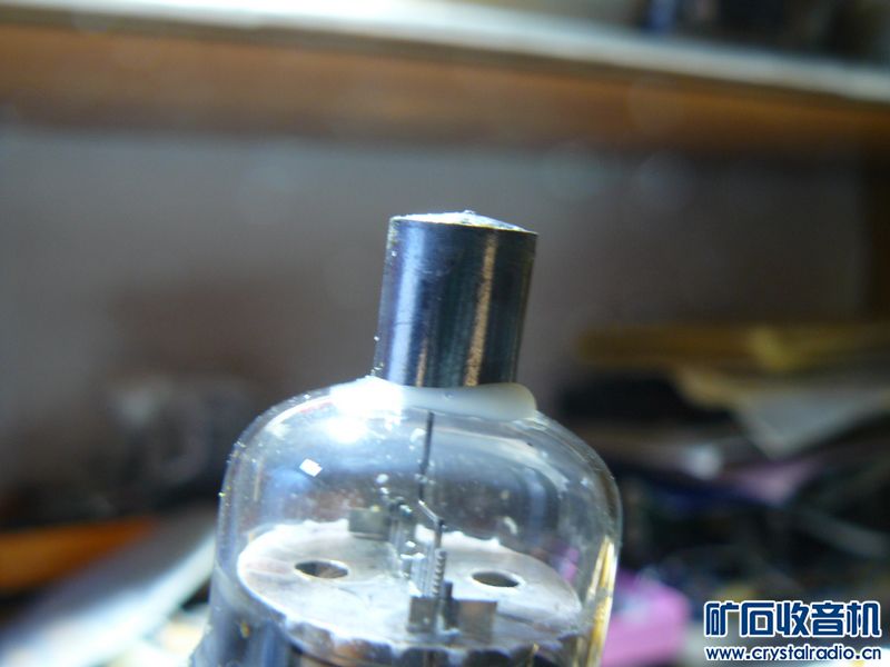 P1160729--yy.jpg