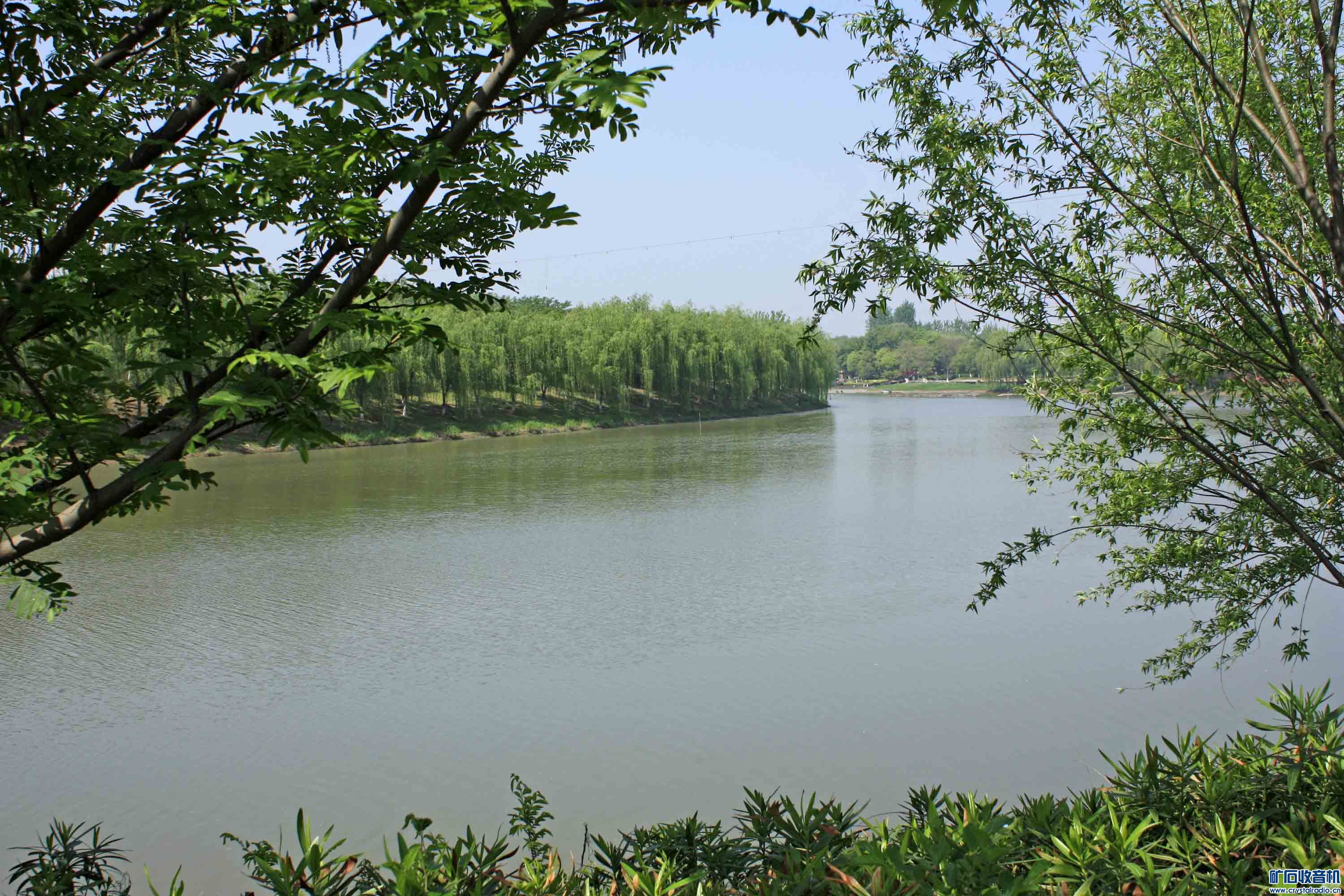 _MG_9072.JPG