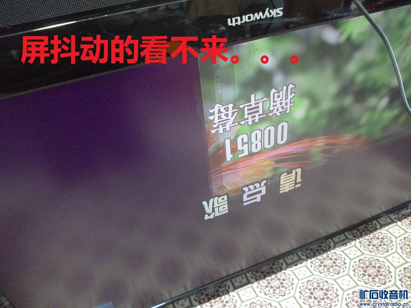 P1090750.JPG