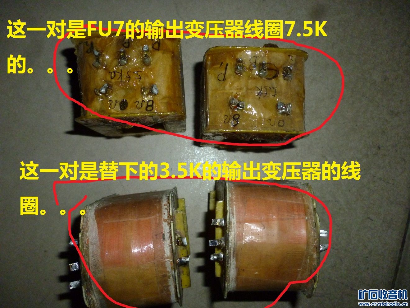 P1090953-2.JPG