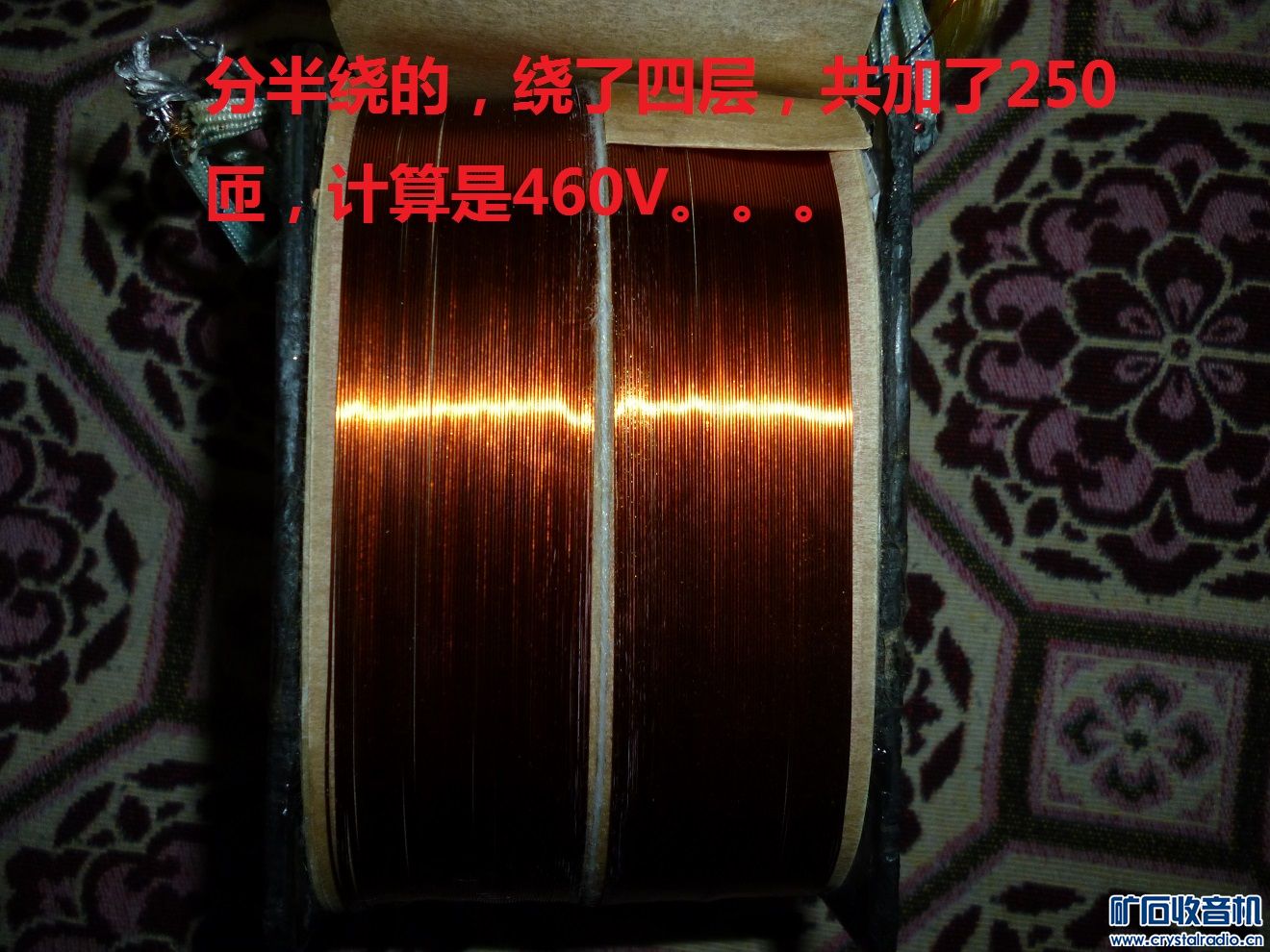 P1100031.JPG