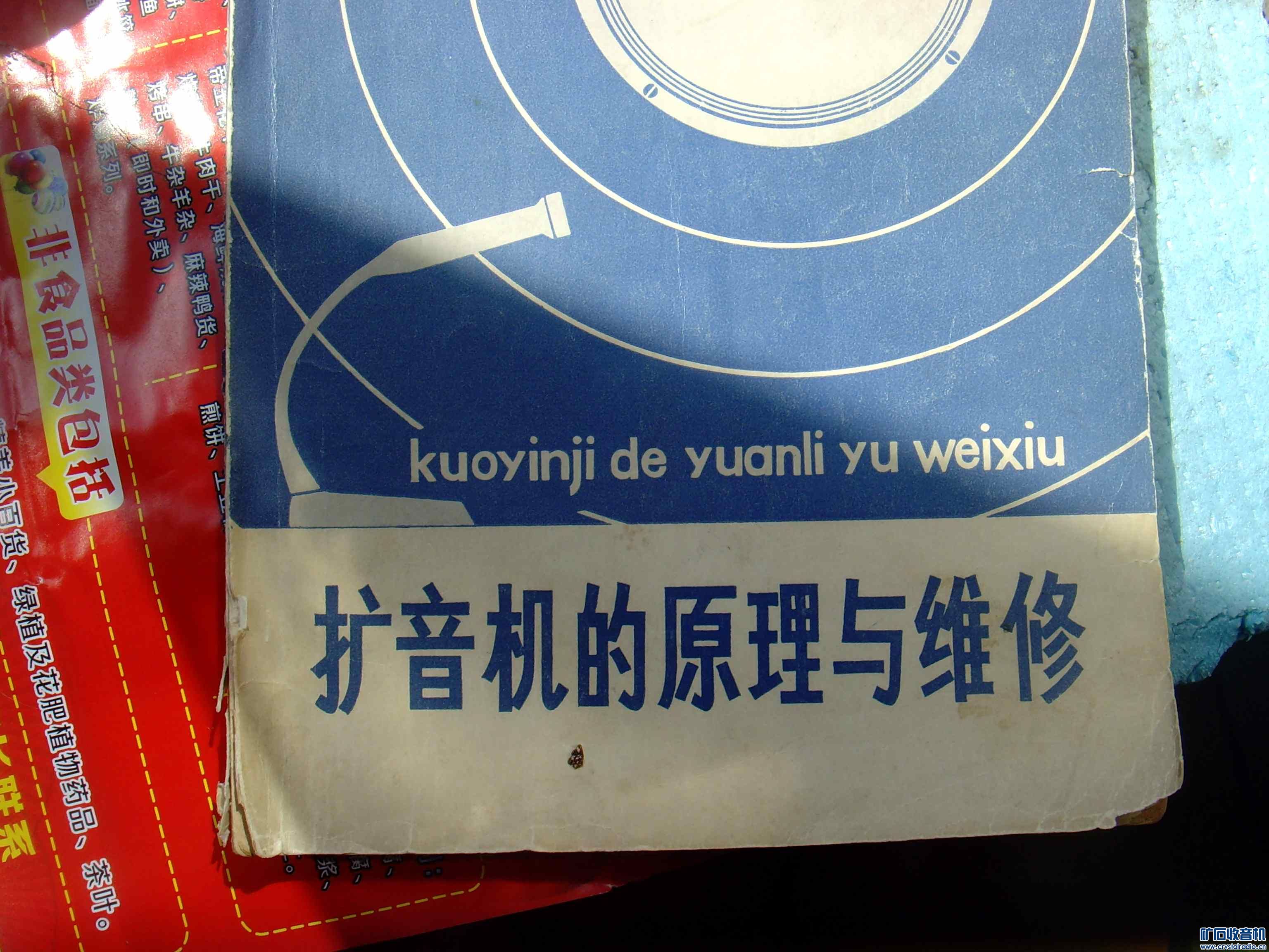 SNV39381.JPG
