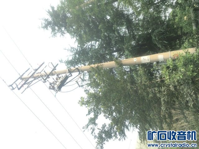F0DA390D-1AF5-4C1F-82F9-8FDDF81D3F64.jpeg