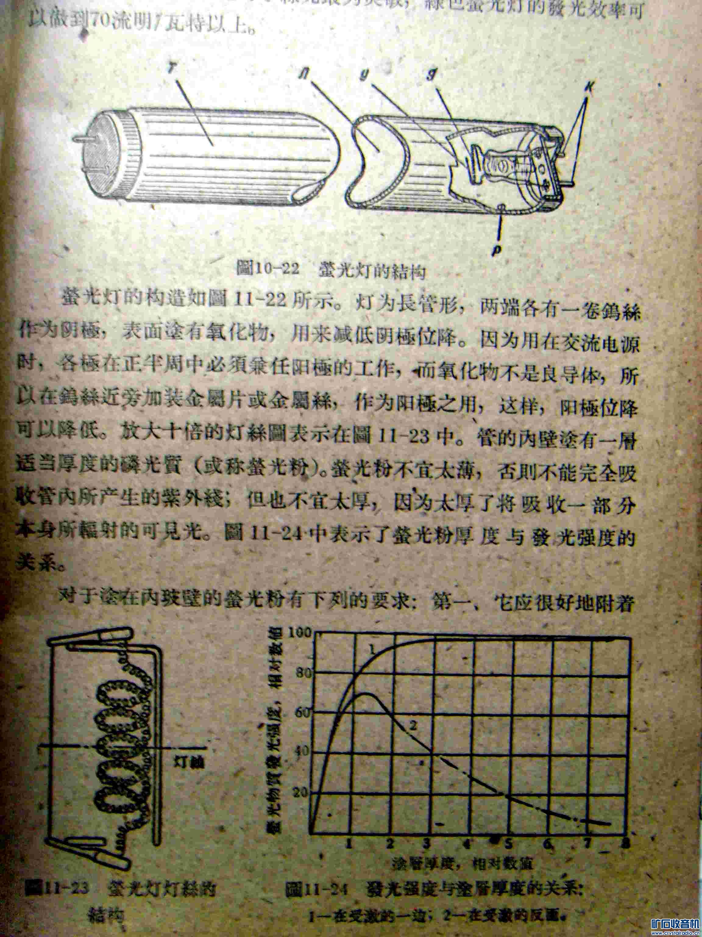 SNV39384.JPG
