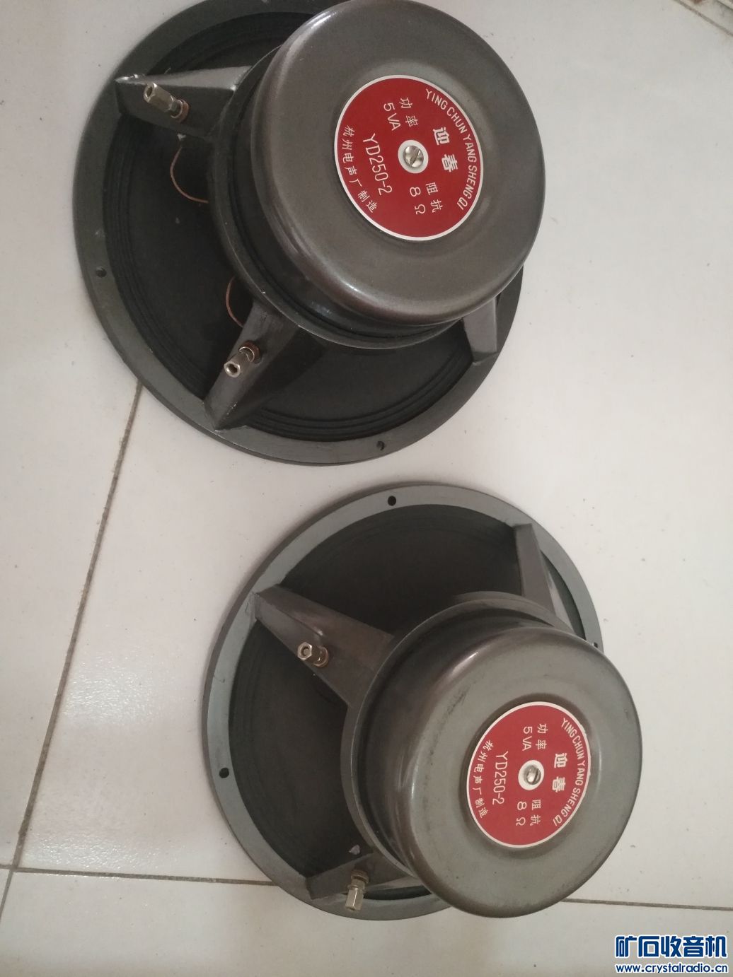 ӭ10(1).jpg