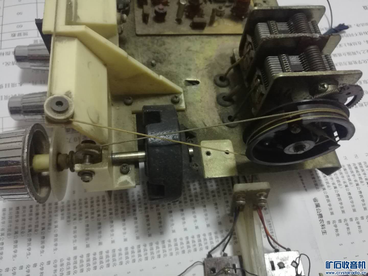 6-_202010100854289.jpg