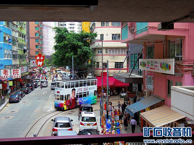 IMGP0066.jpg