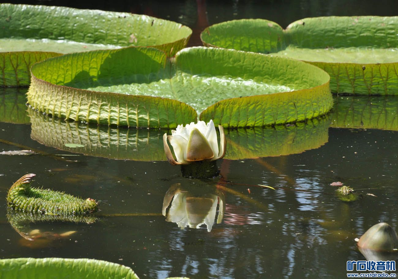 DSC_8665.JPG