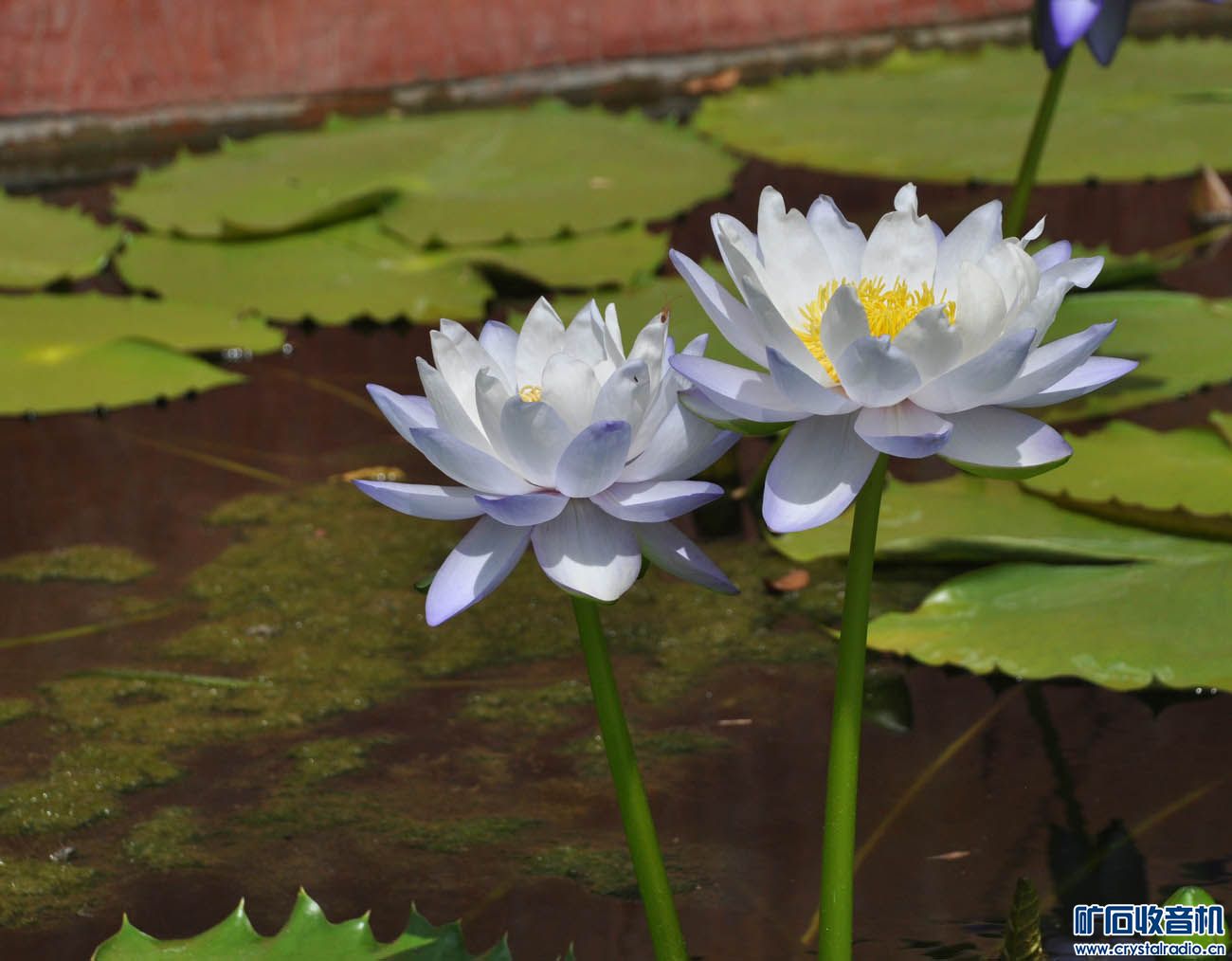 DSC_8644.jpg