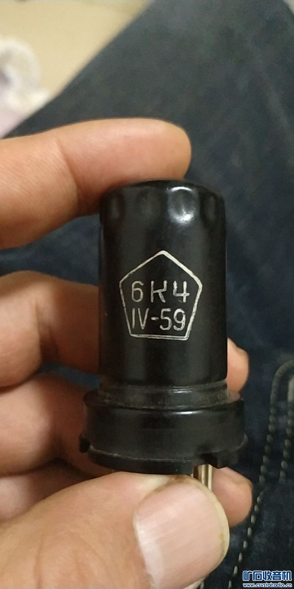 mmexport1640182036356.jpg