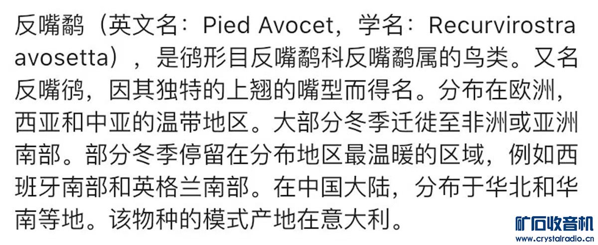 889B0AFD-D53A-497E-8920-C77D3BF994D4.jpeg