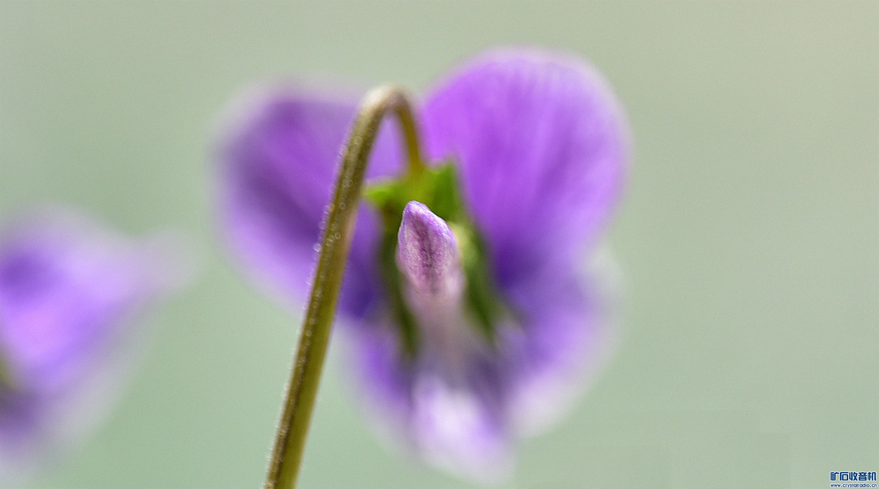 2022.4.1    @05.jpg