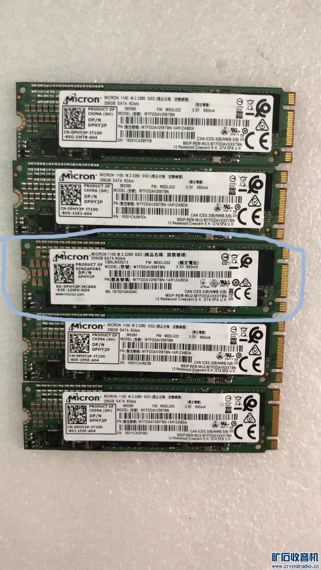 SSD1.jpg