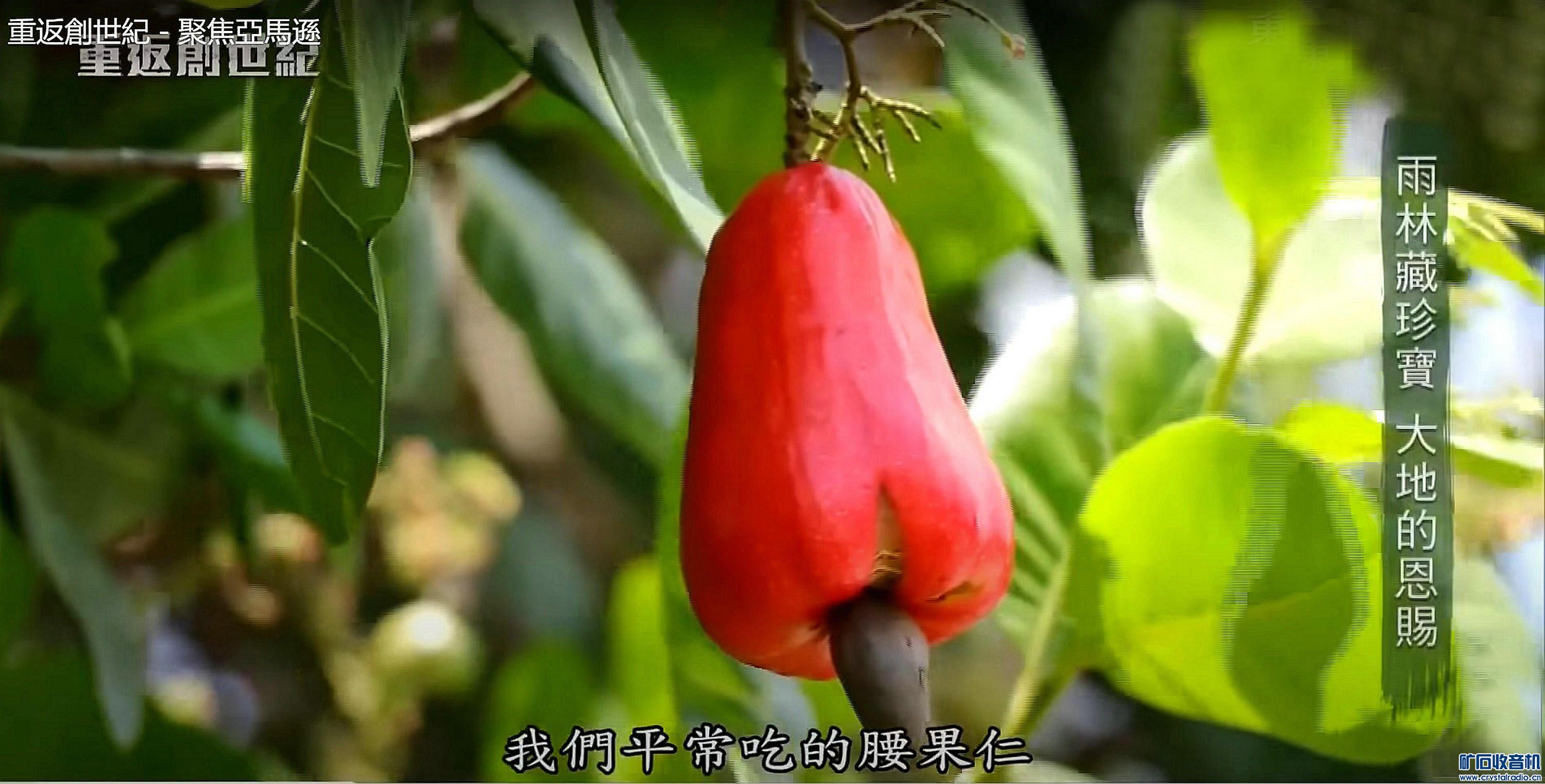 2011.11.8@   004.jpg