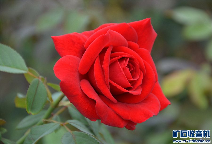 DSC_2877_.jpg
