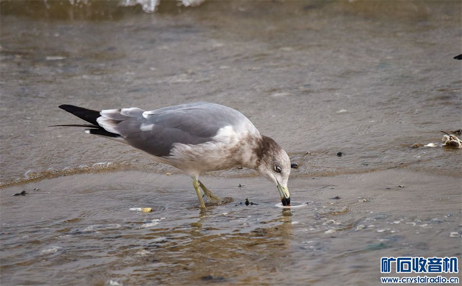 DSC_7774_.jpg