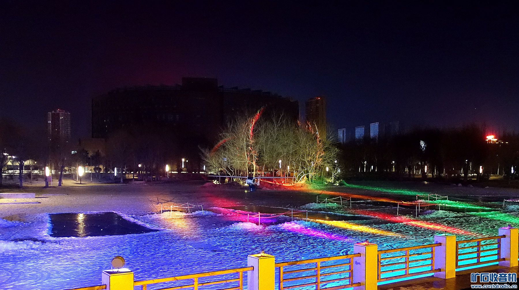 DSC09594.jpg