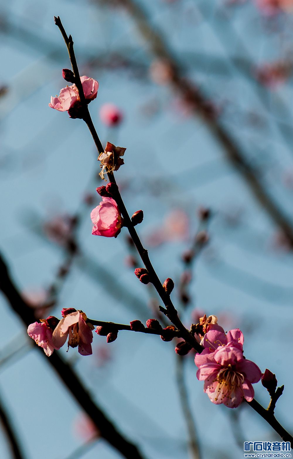 DSC_3308.JPG