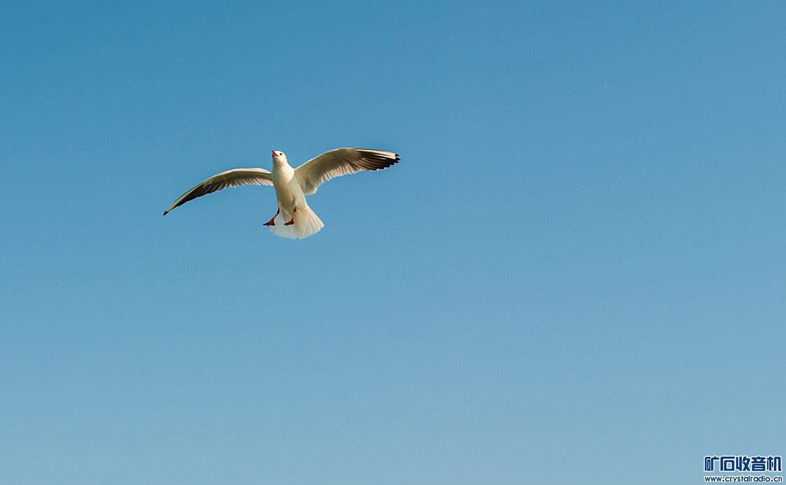 DSC_3339.JPG
