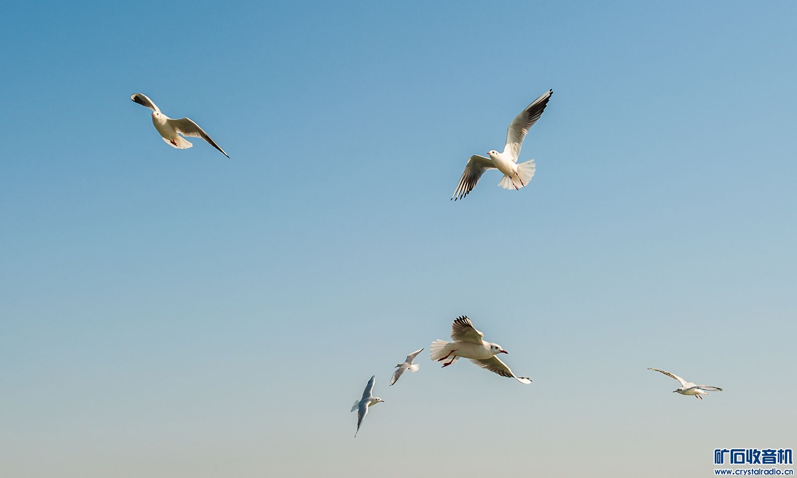 DSC_3341.JPG