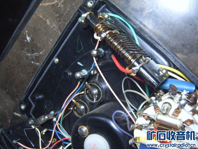 SUC50038.JPG