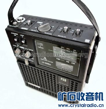 icf_5500w_1253025.jpg