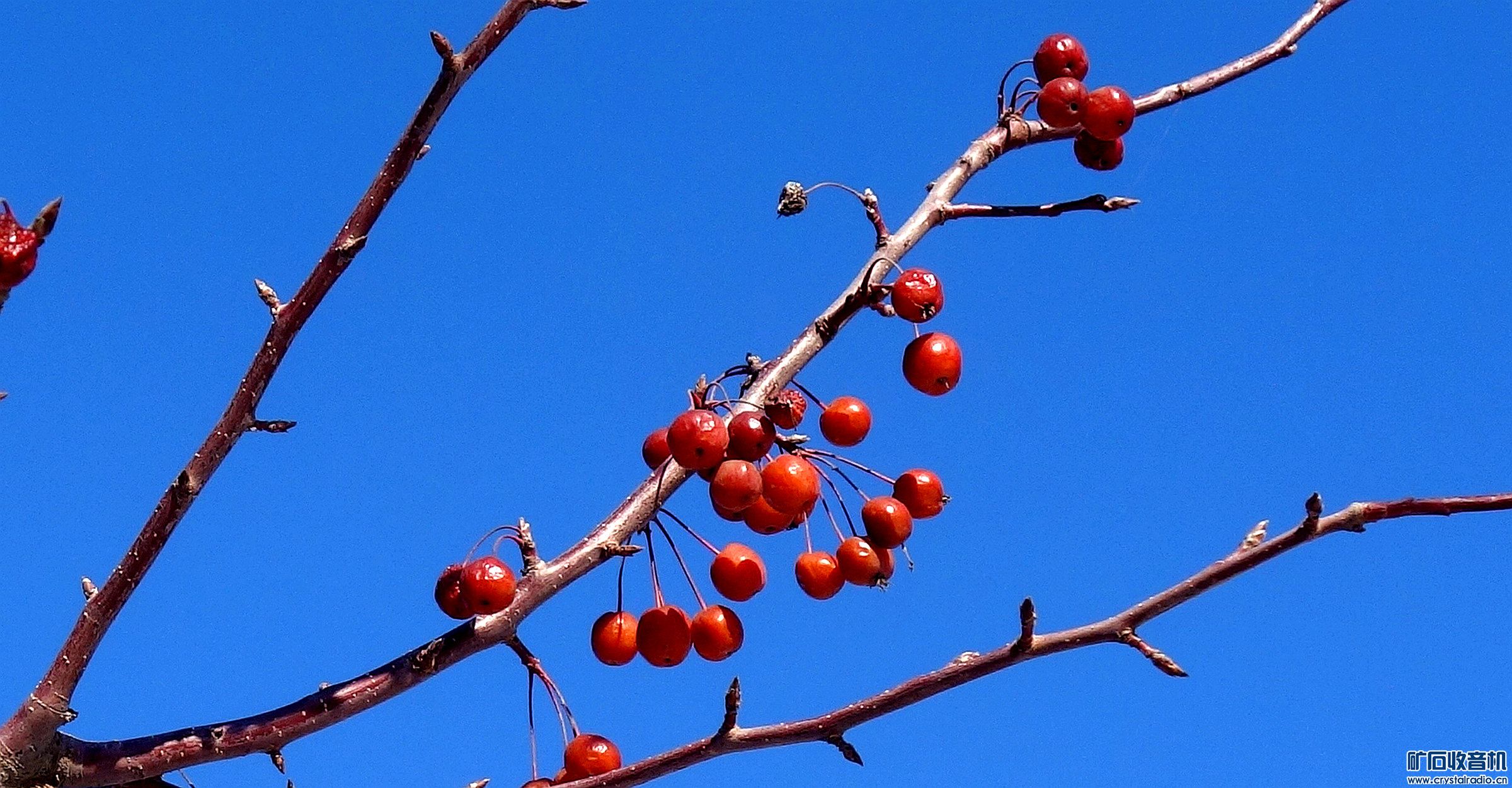DSC00500.jpg