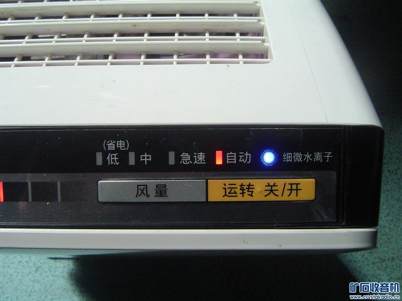 DSC03409.JPG