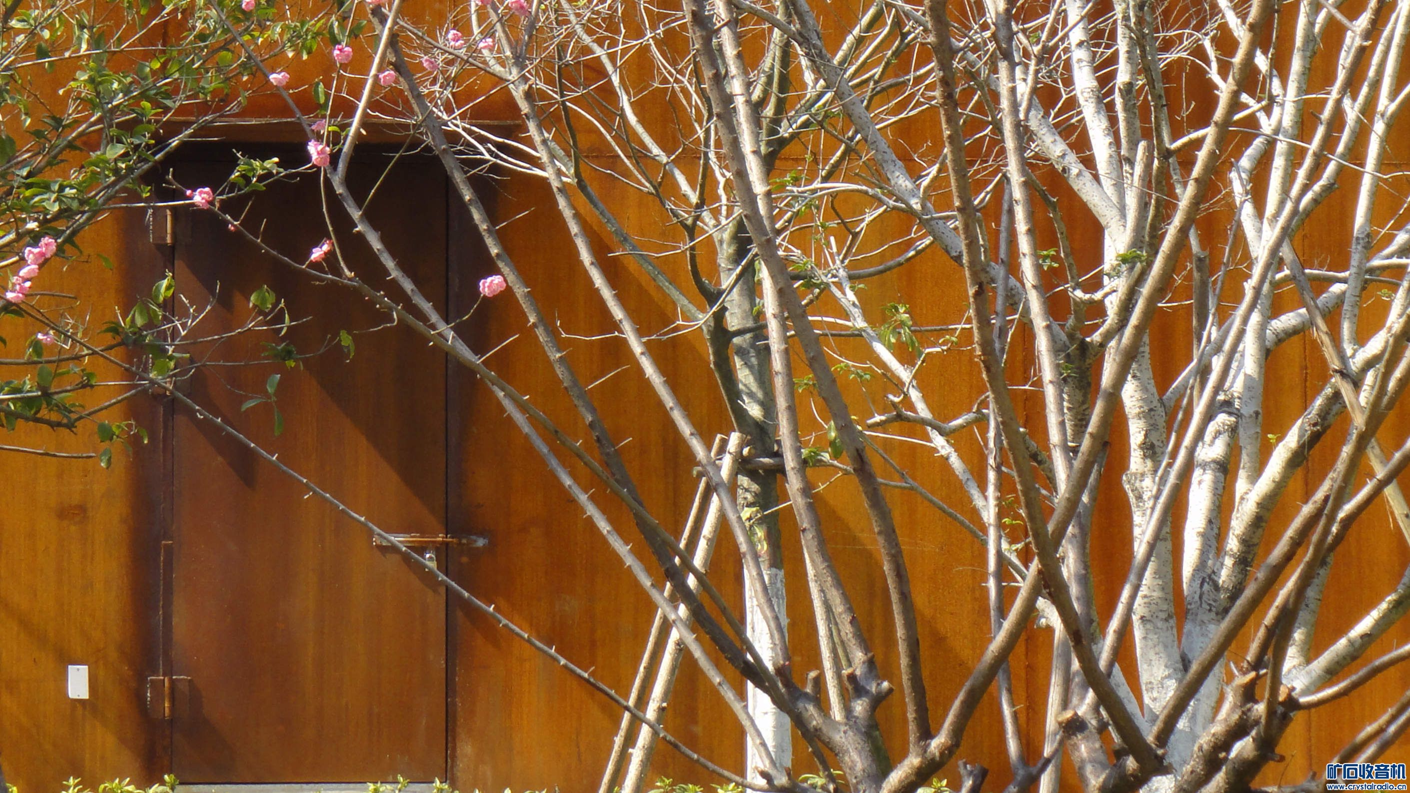 DSC04169_.jpg