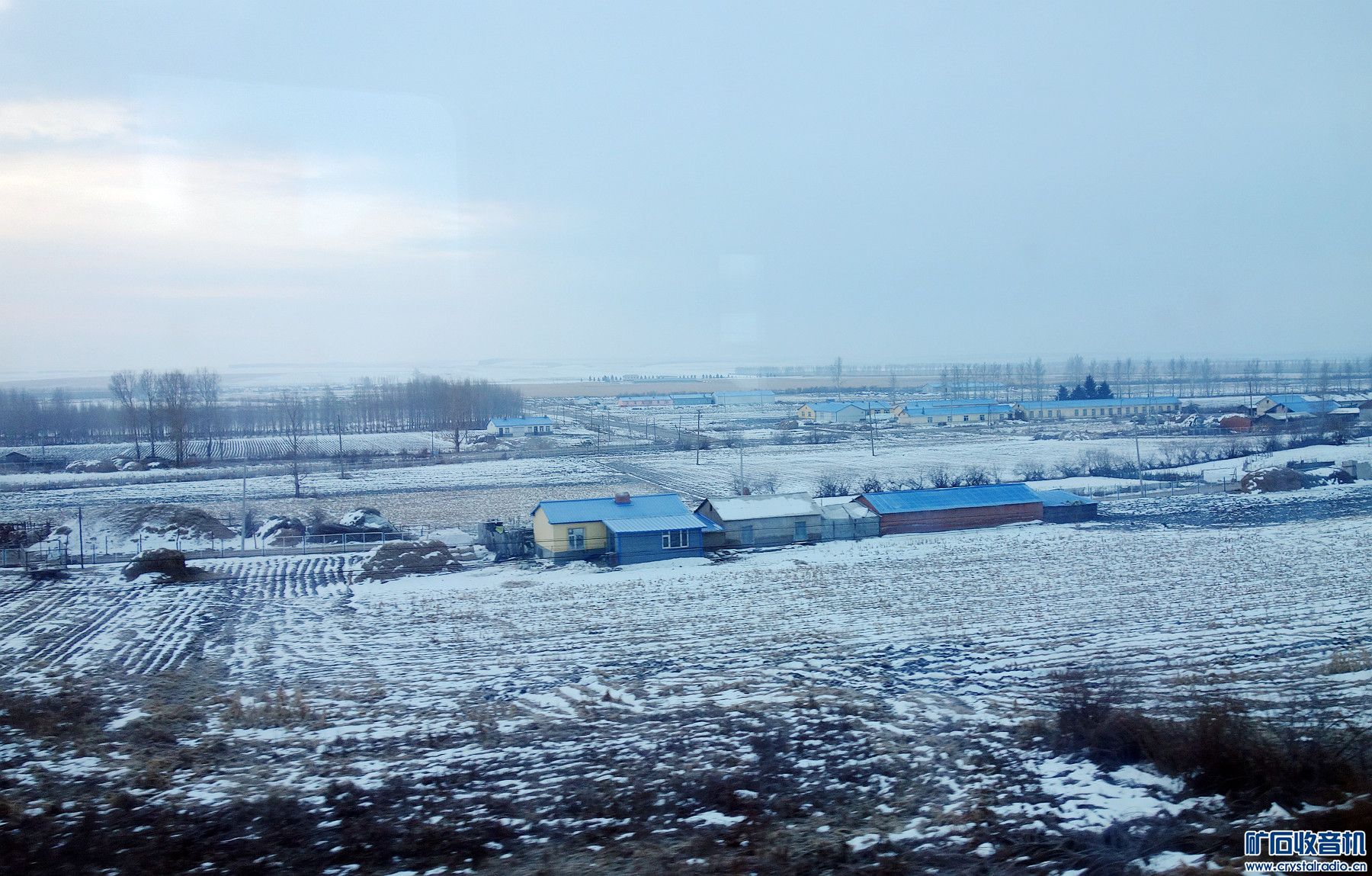 DSC02480.jpg