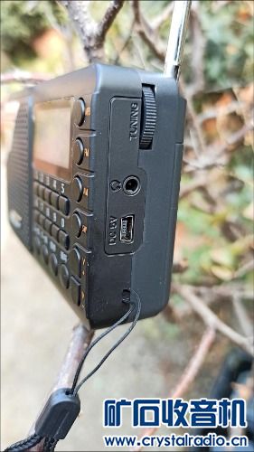 mmexport1677254737075.jpg