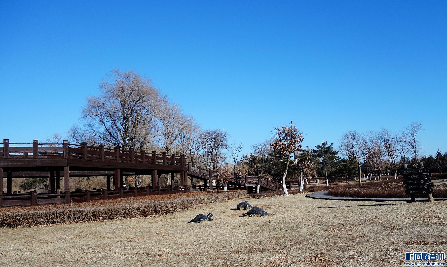 DSC03784.jpg