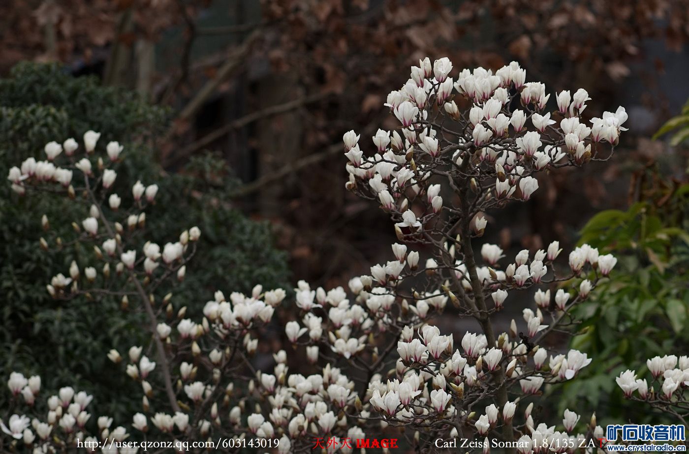 28FB4225-1AB0-4AB6-88AE-DF12A03EA1A9.jpeg