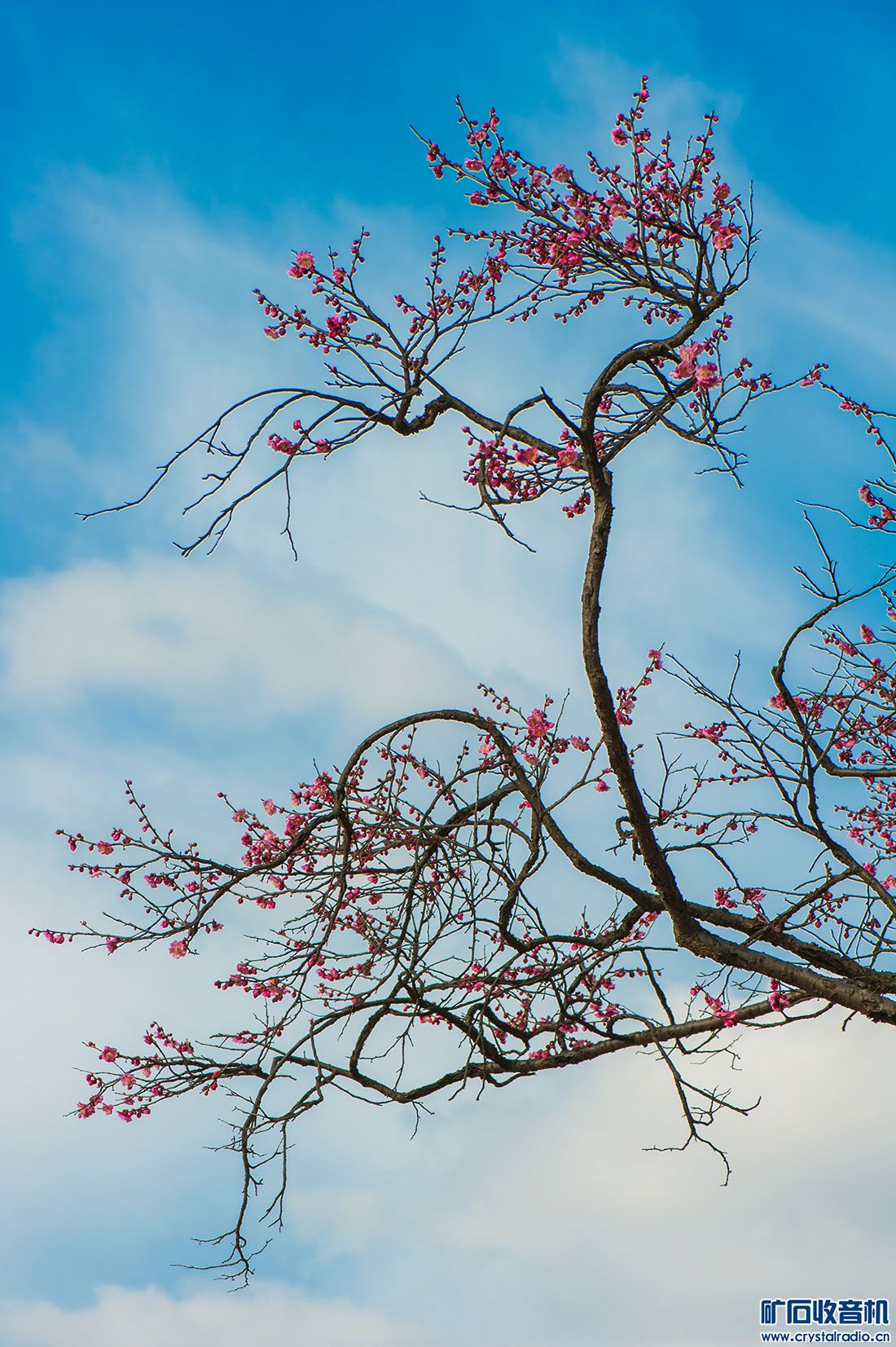 DSC_3421.JPG