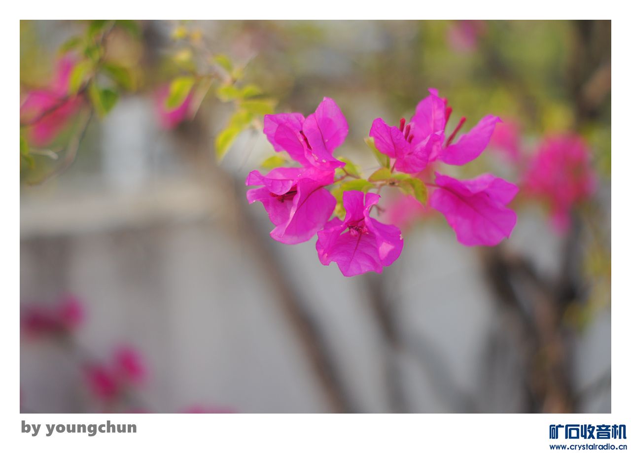 DSC08539_.jpg