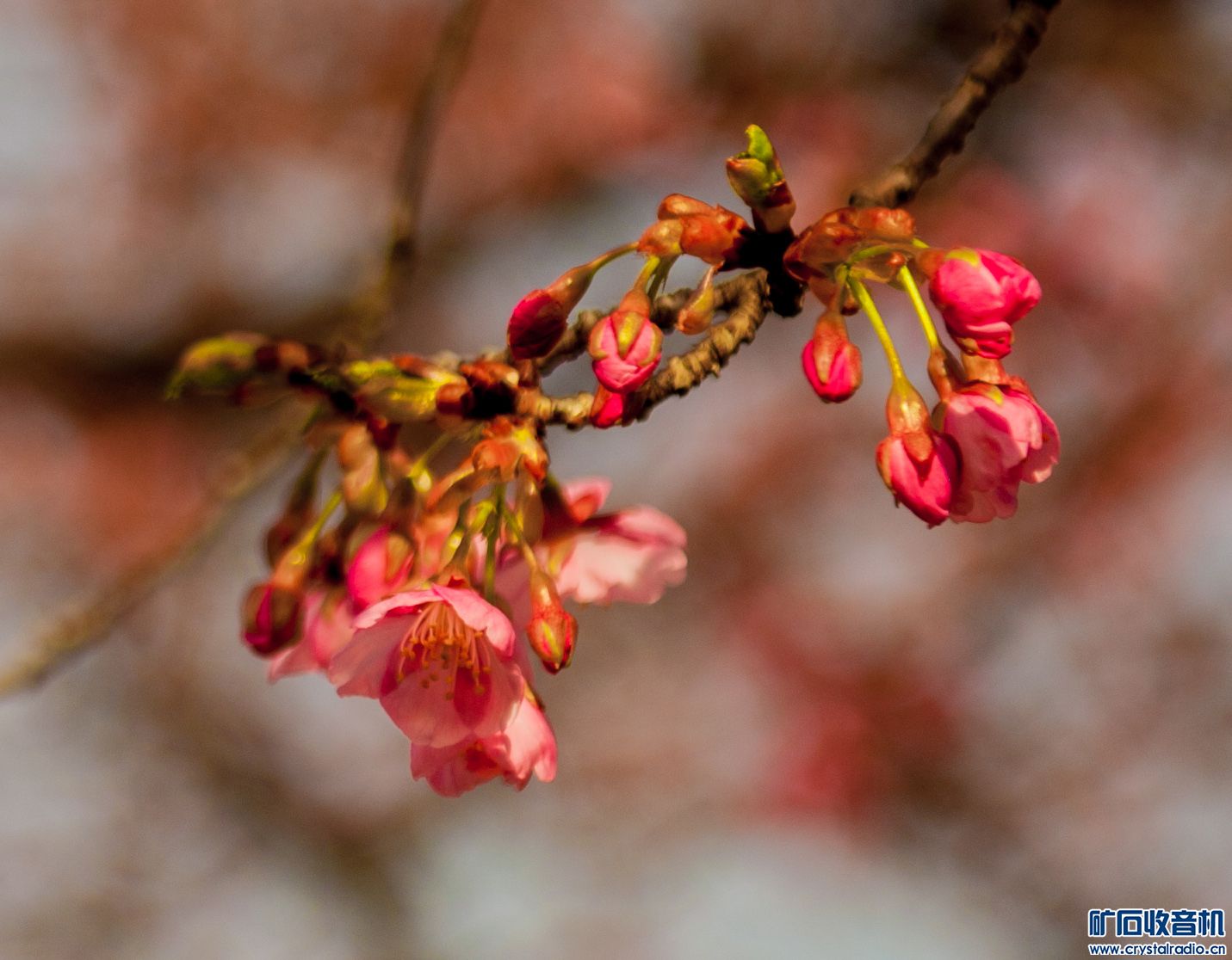 DSC_3547.JPG