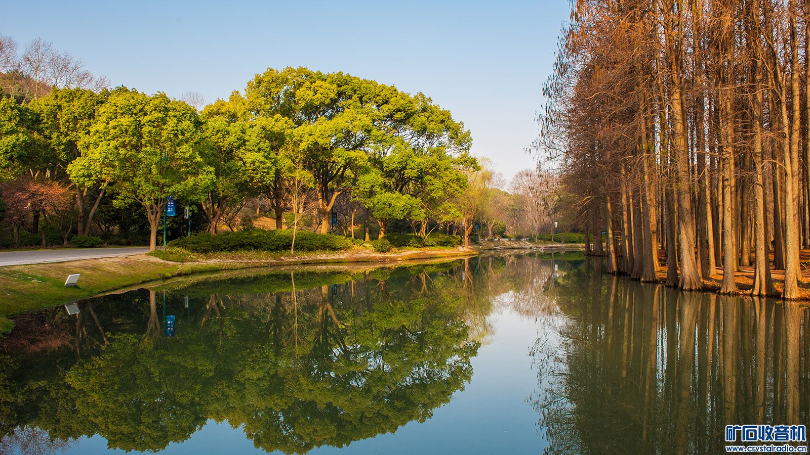 DSC_3522.JPG