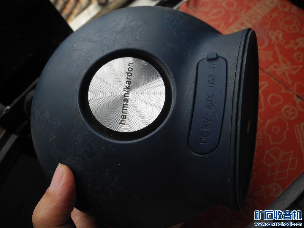 DSCN0806.JPG