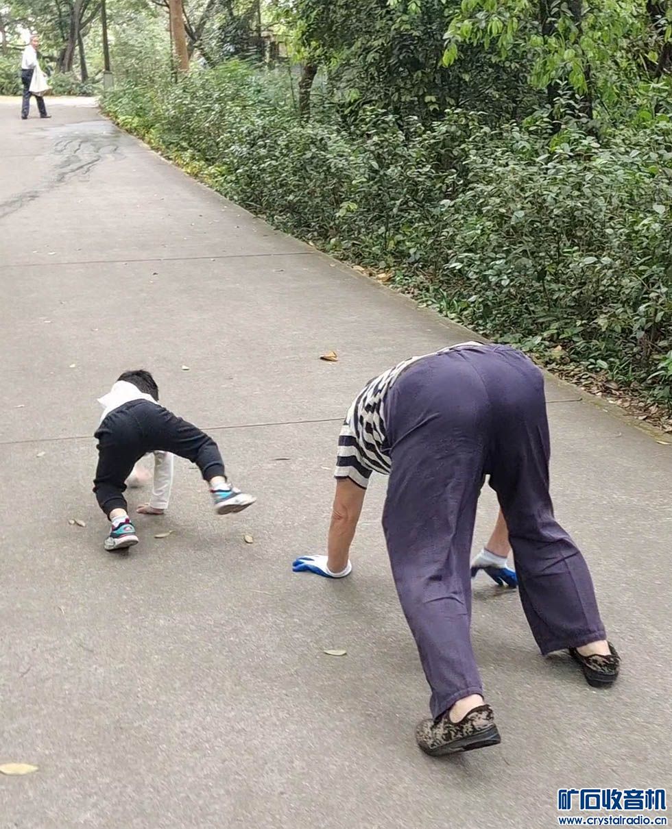 .jpg