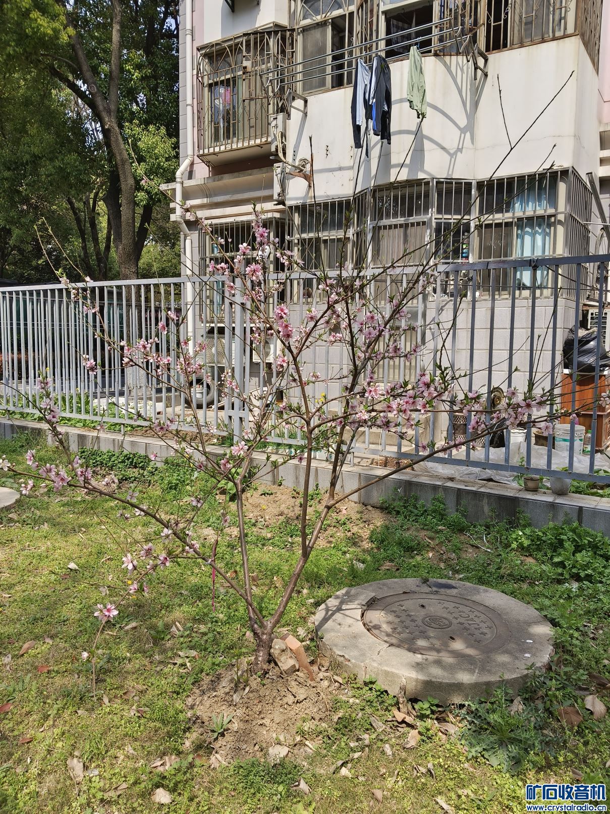 Compress_IMG_20230316_113706.jpg