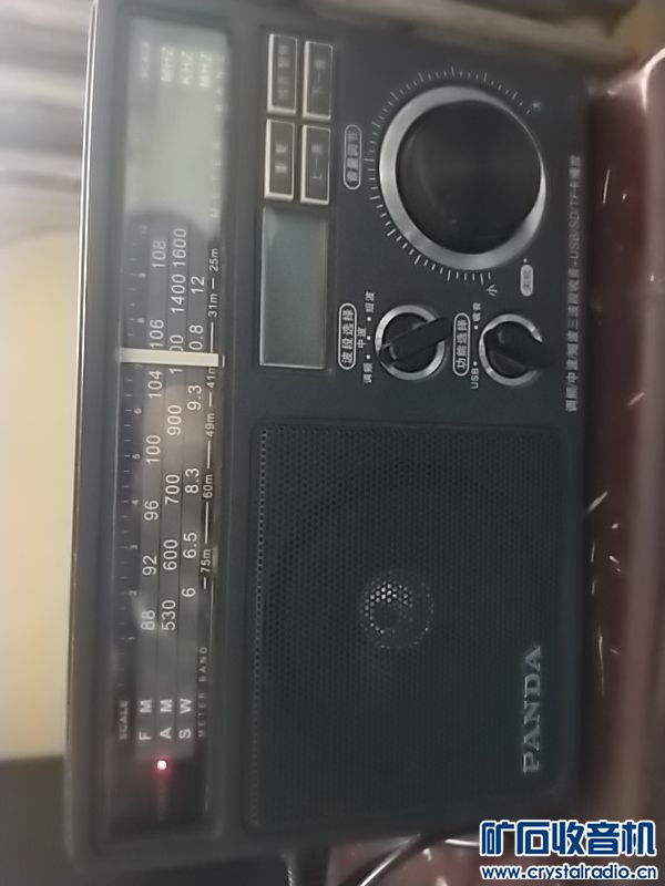 2023-3-18-83800-229.jpg