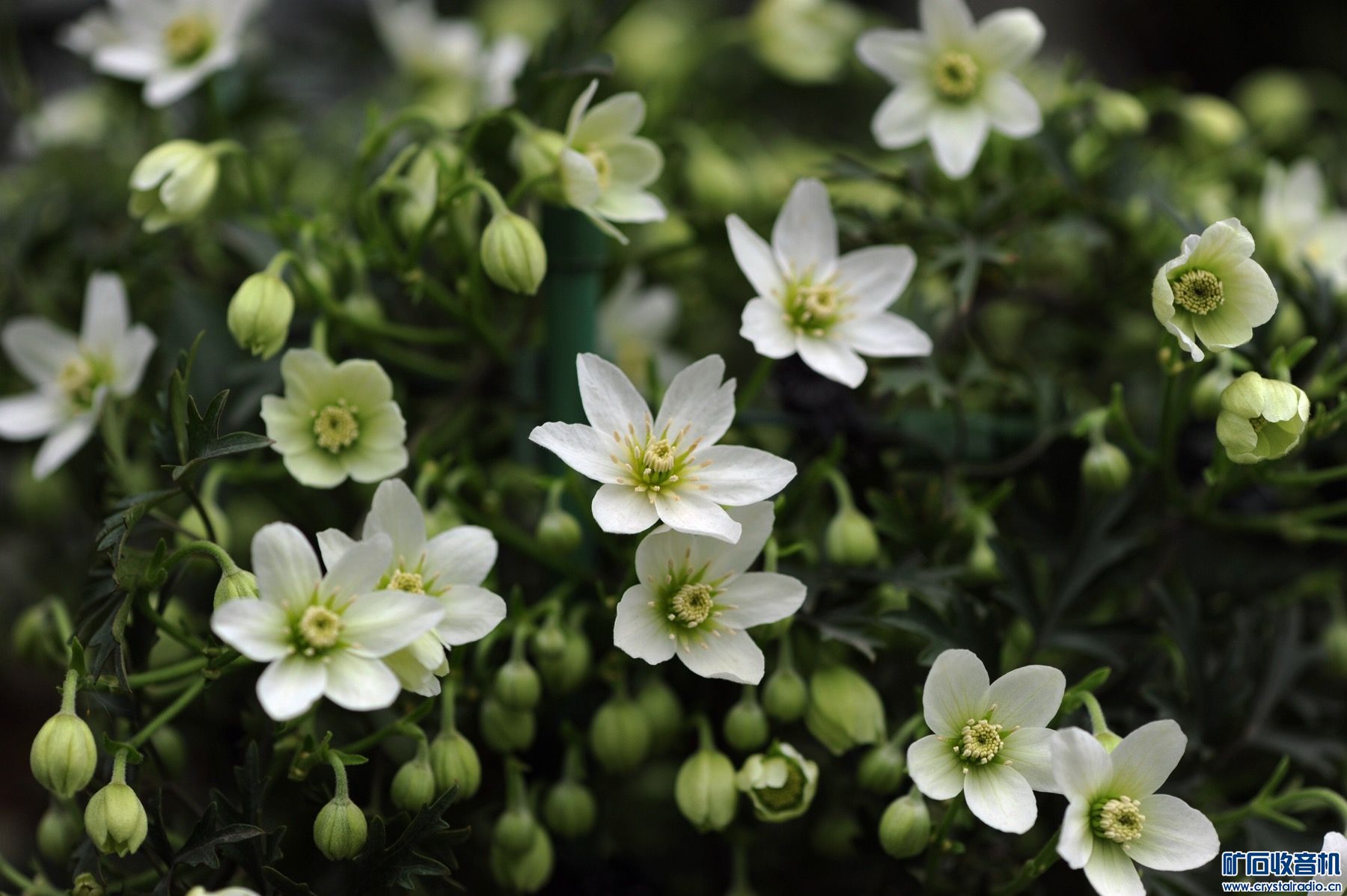 2F90E05F-C15D-4EDA-A67F-A393DA961372.jpeg