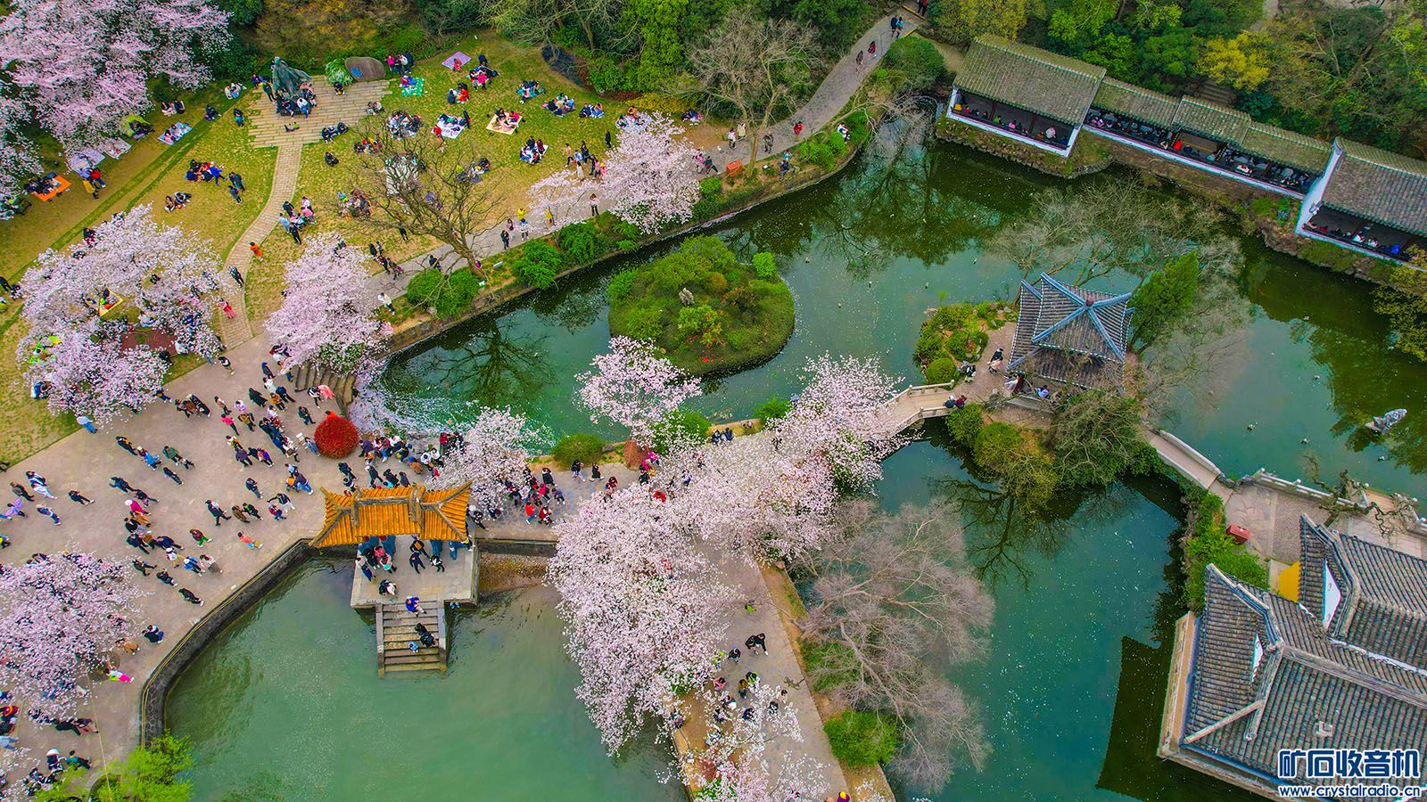 DJI_0185.JPG