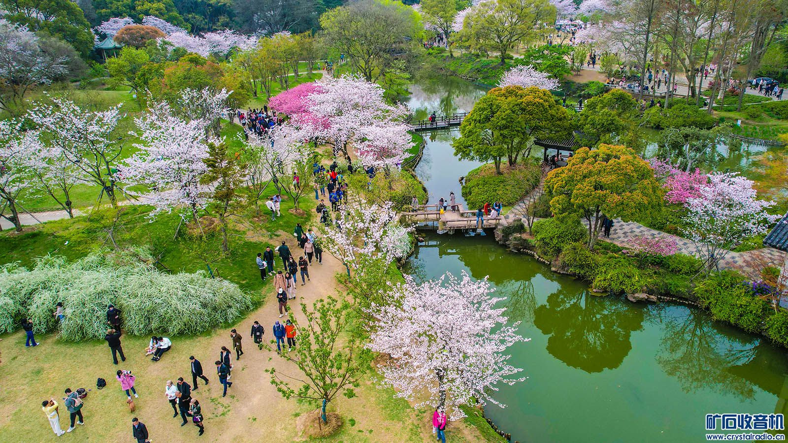 DJI_0160.JPG