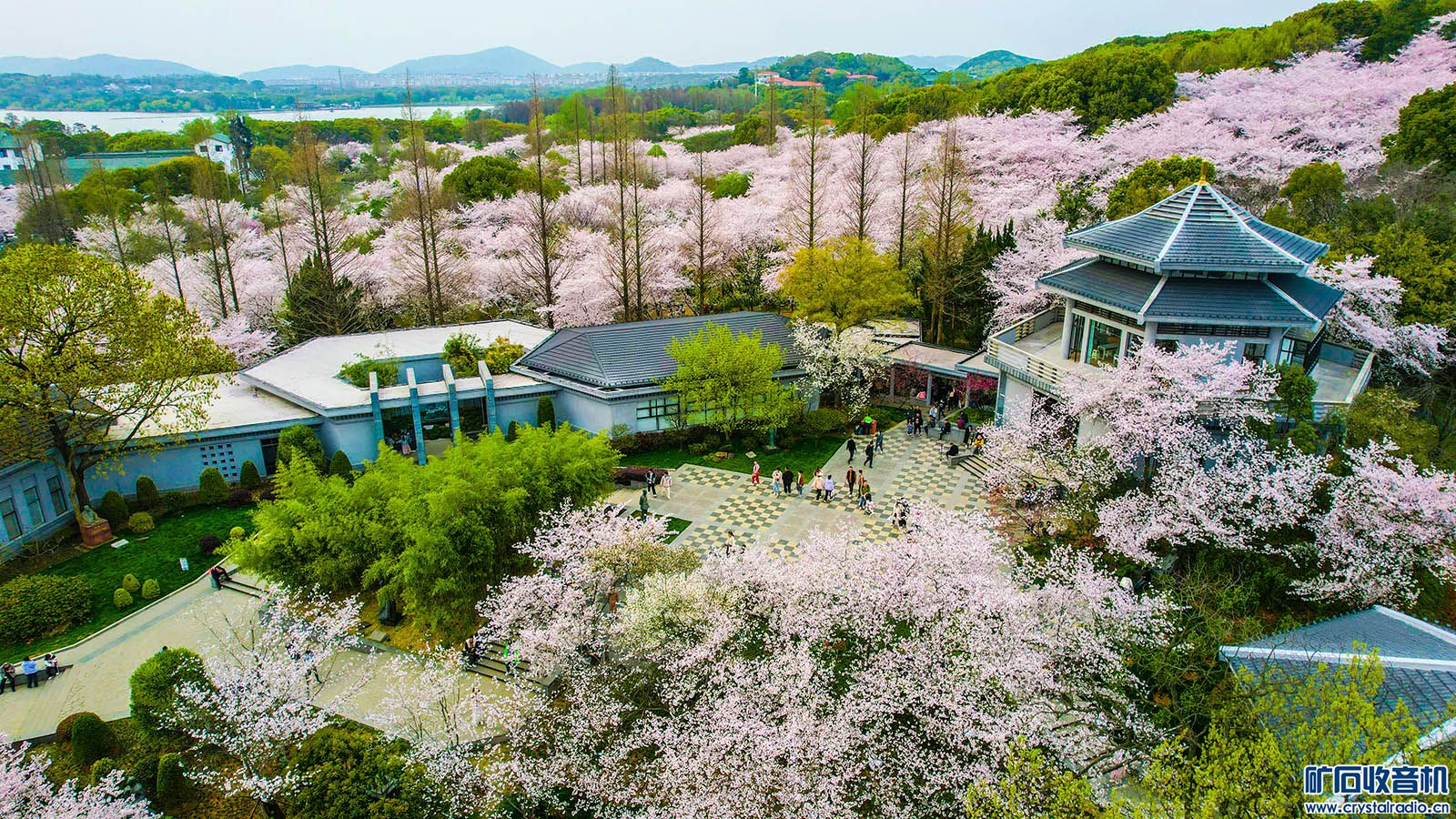 DJI_0171.JPG