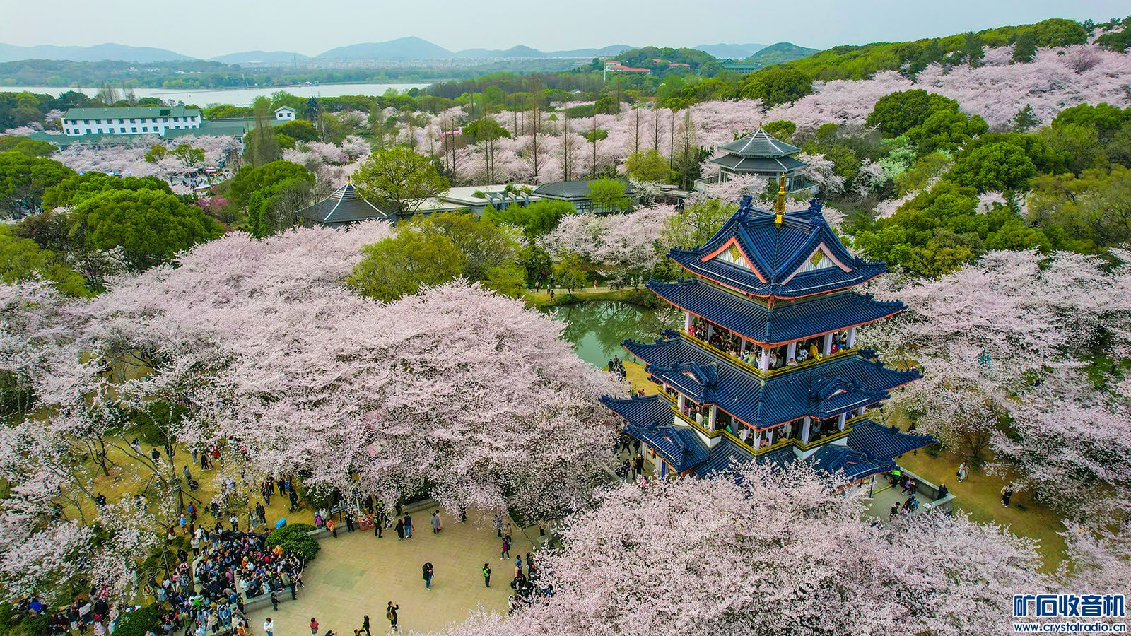 DJI_0173.JPG